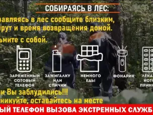 Собираясь в лес, ознакомьтесь с памяткой!